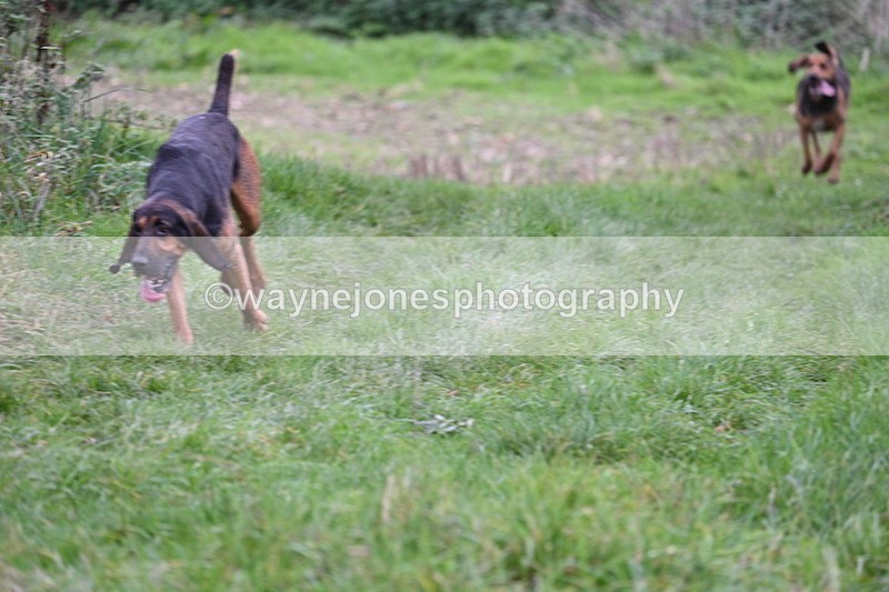 WJ7_8914 - Camera 1 only on this line