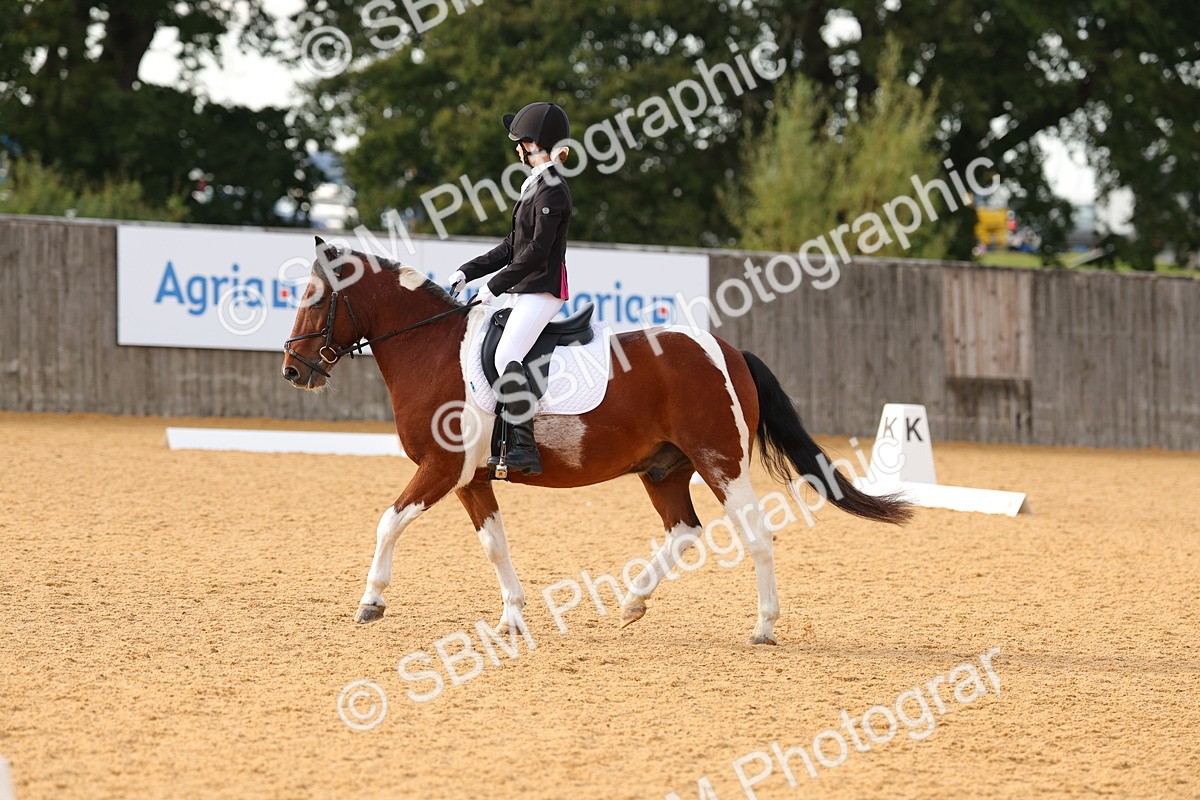 SBM_49712 - D24 - Junior Championship - Prelim 1