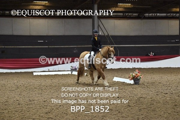 BPP_1852 - INTRO TEST 2