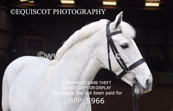 BPP_5966 - Erin Hancock ×2