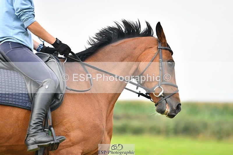 230817-090729-02480 - Abbie's 1st Group - Dressage