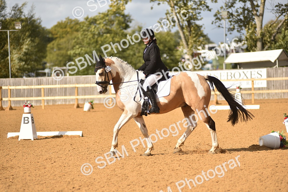 SBM_24347 - D4 - Small Tour Championship Intro 4