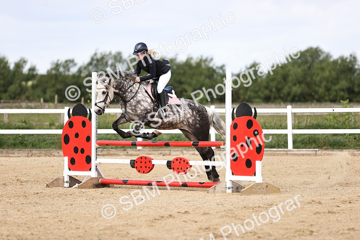 SBM_007245 - Class 2 - 80cm showjumping