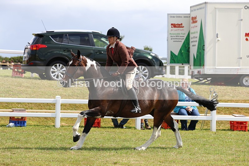 3E7A9796 - Class 5: Rising Star Lightweight/Heavyweight Cobs