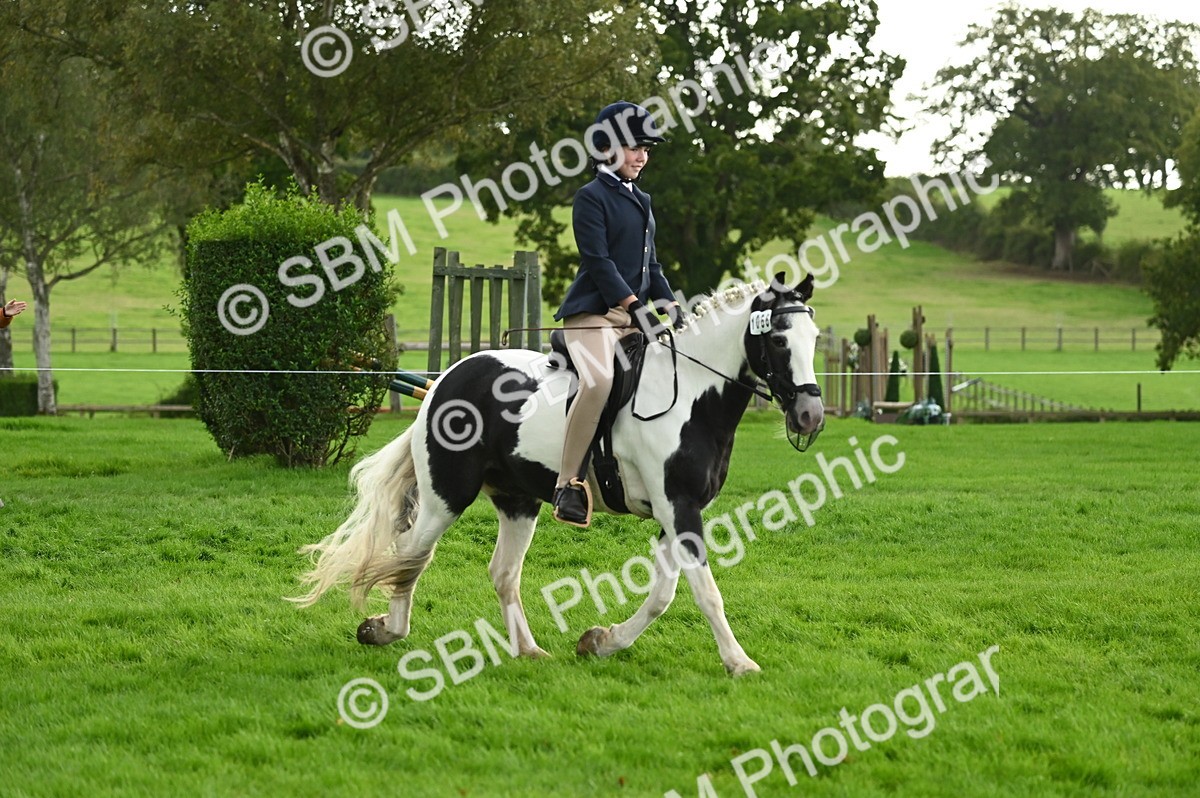 SBM_26608 - S7 - Novice & Newcomer Ridden Pony