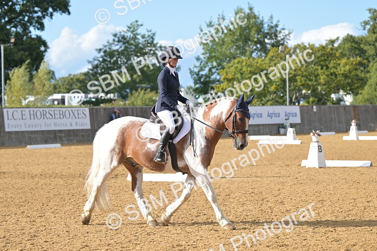SBM_12924 - D3 - Small Tour Championship Intro 3