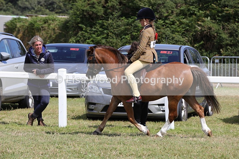 1X9A5347 - Class 37: NPS M&M First Ridden