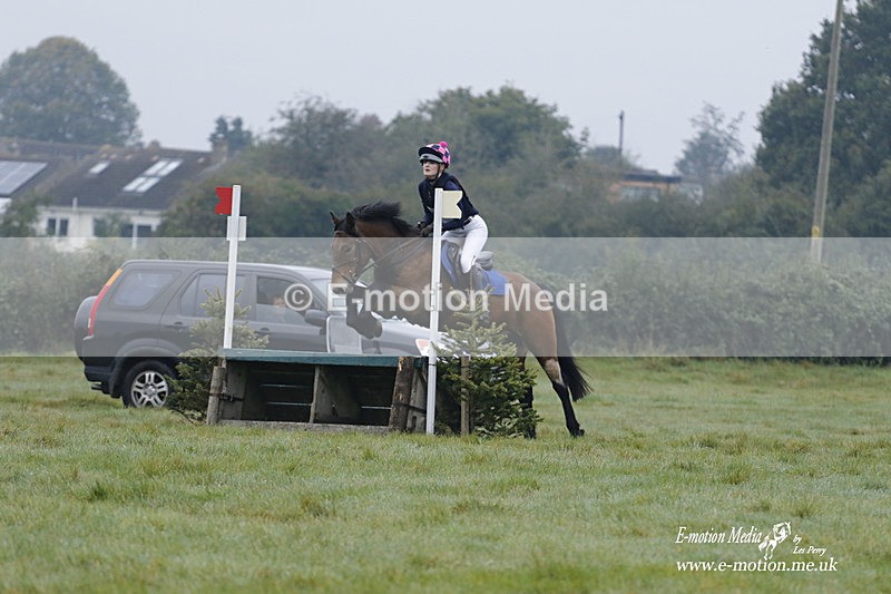 WWHT 171021 0331 - Novice Restricted (0.80m)  17/10/21
