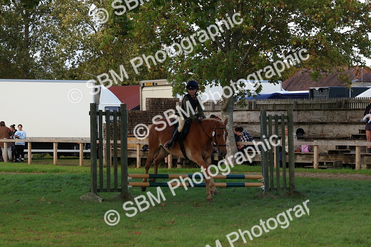 SBM_52592 - S13 - Pony Club Pony
