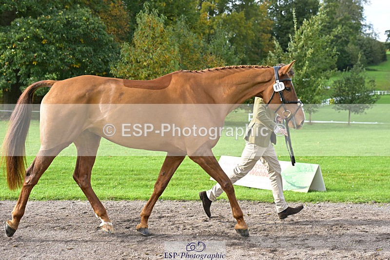 241023-132428-00267 - 017-Louis.Pern-CLASSICTOP.MISS.VIVIENNE