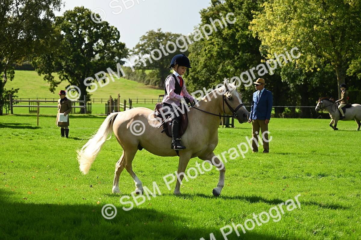 SBM_02745 - S3 - TSR Ridden Pony Showing