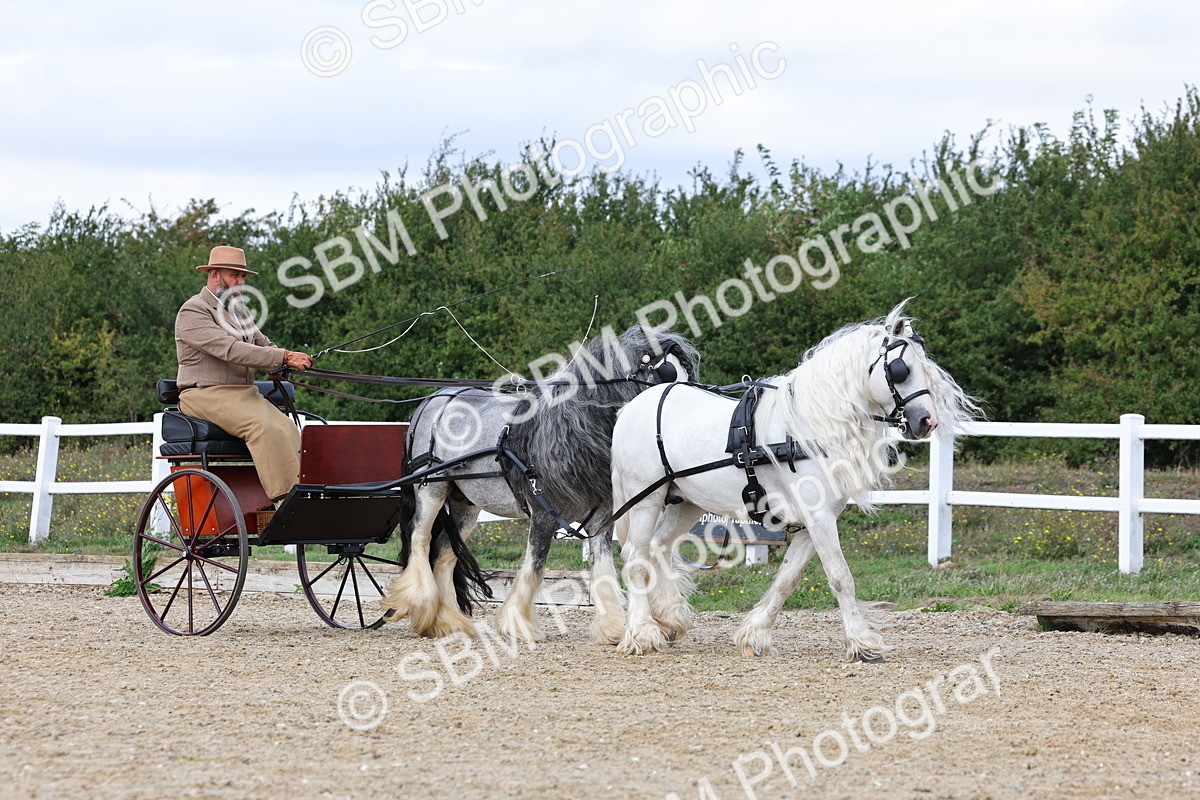 SBM_001136 - Class 16 - Pairs ,Multiples and Tandems