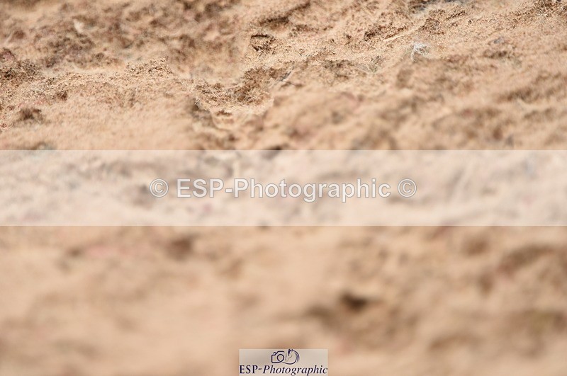 230813A-145652-13472 - Cls 50 Senior Foxhunter