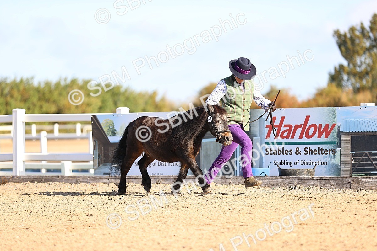 SBM_08446 - Class 402 - IH Veteran Pony