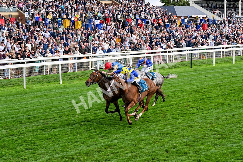 210826-Race 5-Plage De Havre-0313 - Race 5 16.10pm Assured Data Protection Handicap