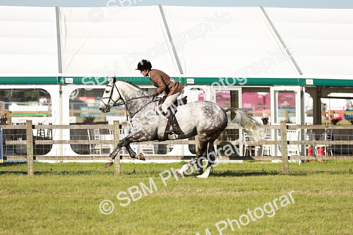 SBM_20005 - Class 115-116 - LIHS BSHA Rising Star Working Hunter & Show Horse