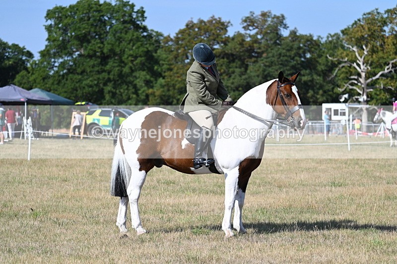 WJ7_2952 - Class 8 Ridden Tack & Turnout