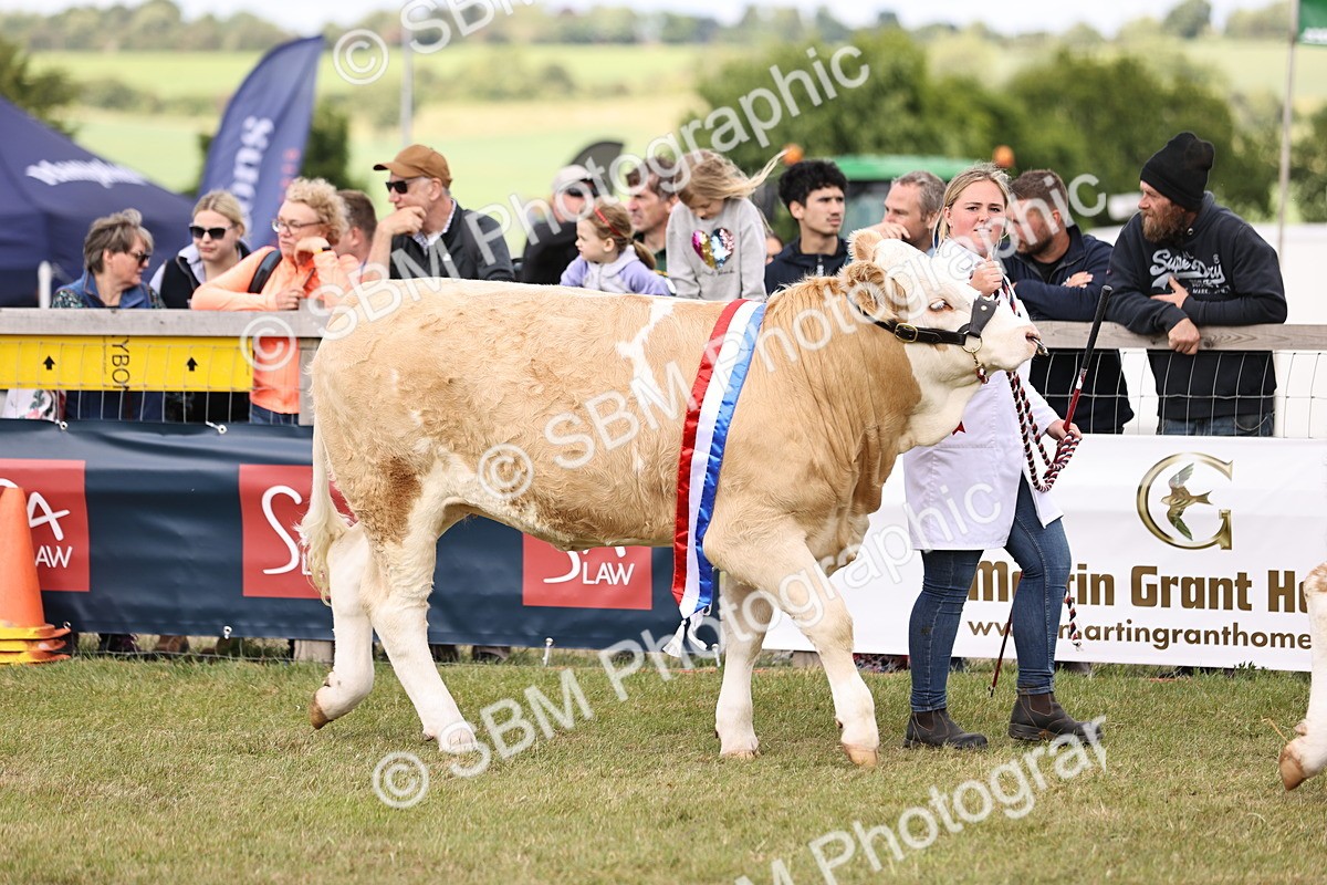 SBM_16882 - Grand Parade