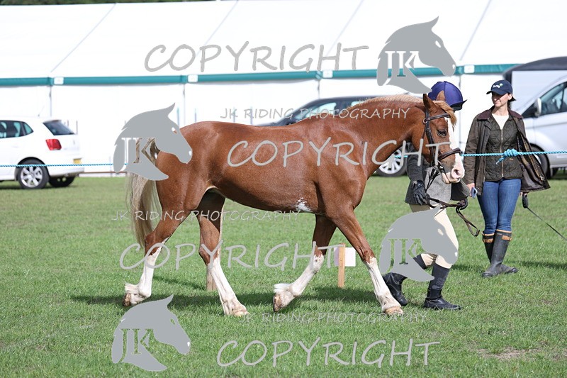 APP_2597 - Class 9 Veterans in hand