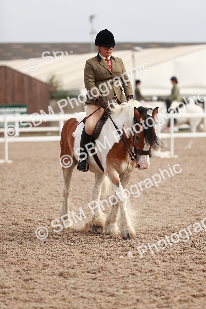SBM_16798 - Class 214 Ridden Cob