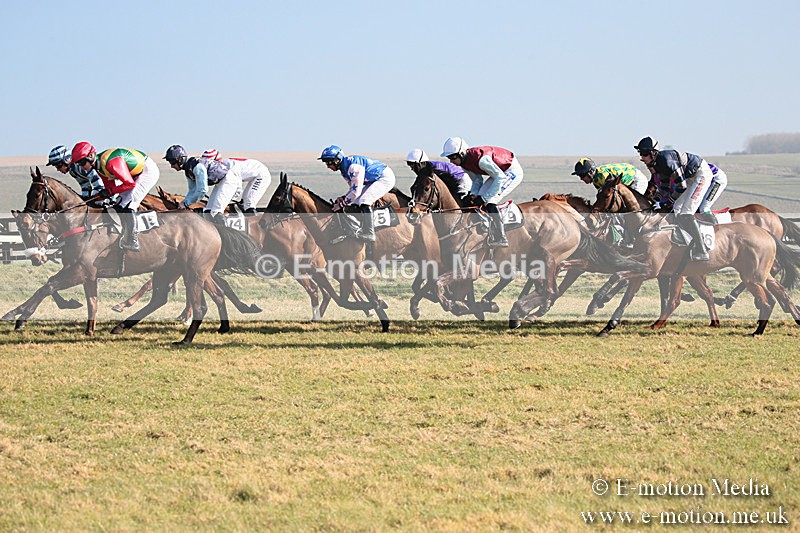 PtP 230219 59 - Vine & Craven Point-To-Point - Barbury 23/02/19