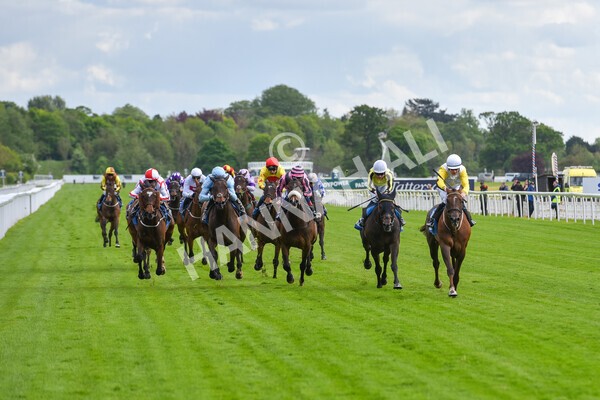 yr11052022r6-24 - Race 6 4.45pm Conundrum HR Consulting Stakes