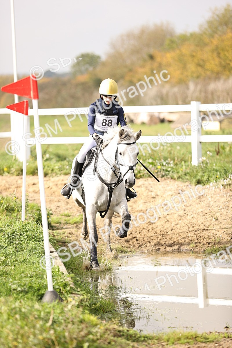 SBM_003307 - Class 2 - 80cm