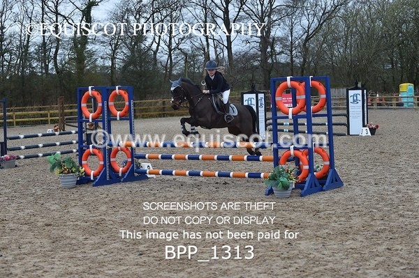BPP_1313 - CLASS 5 Pony BritiNovice / 0.80m Open