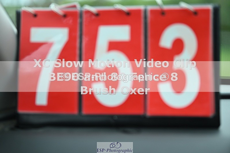 250419-141815-11704 - 753-Leonie.Willett-NICE.QUICK