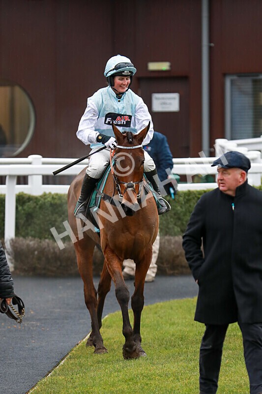 100225-Race 1-Tigerbythetail-5596 - Race 1