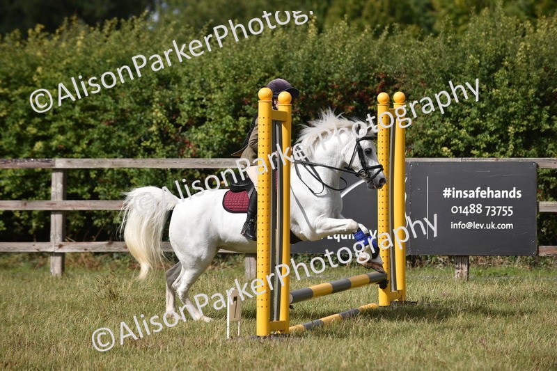 20250831-1811 - Class 8 - Hoof and Foot