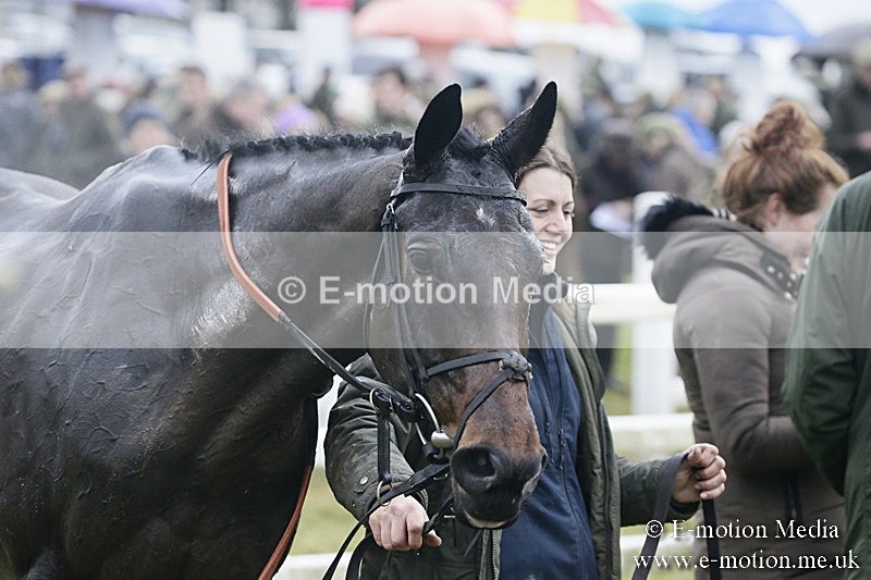 PtP 031217 796 - Hursley Hambledon Point-to-Point Larkhill 03/12/17