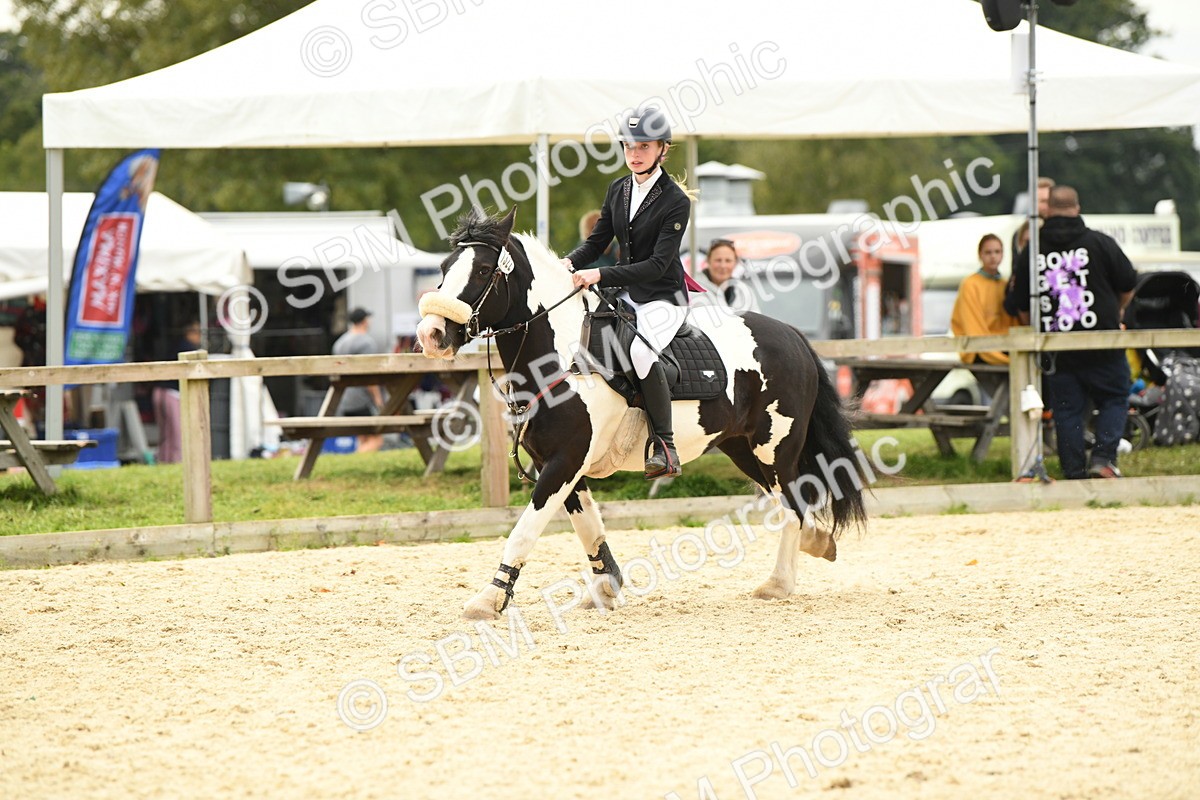 SBM_75686 - Supreme Championship