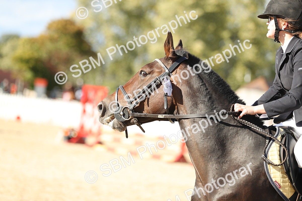 SBM_49615 - J22 - Junior Horse 65cm Championship