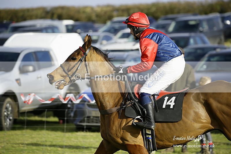 PtP 300122 328 - South Dorset Hunt - Point-to-Point Races 30/01/2022