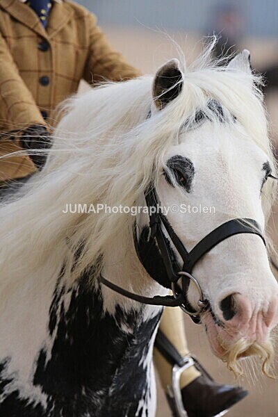 SIAL0957 - Indoor Classes