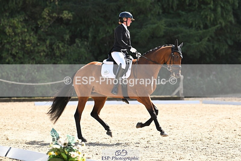 250808A-155819-01971 - 001-Ellen.GloverAmazing.Lady.Texel.MFS