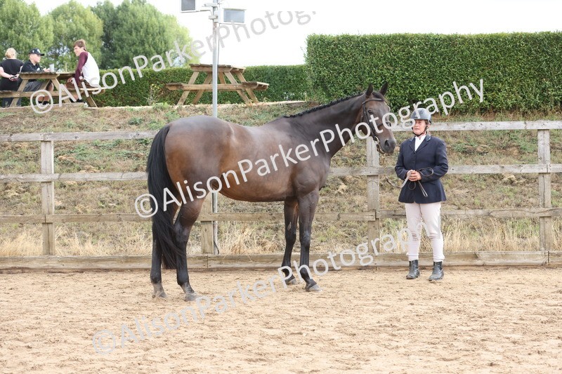 20260831-1919 - Class 5 - Retraining of Racehorses