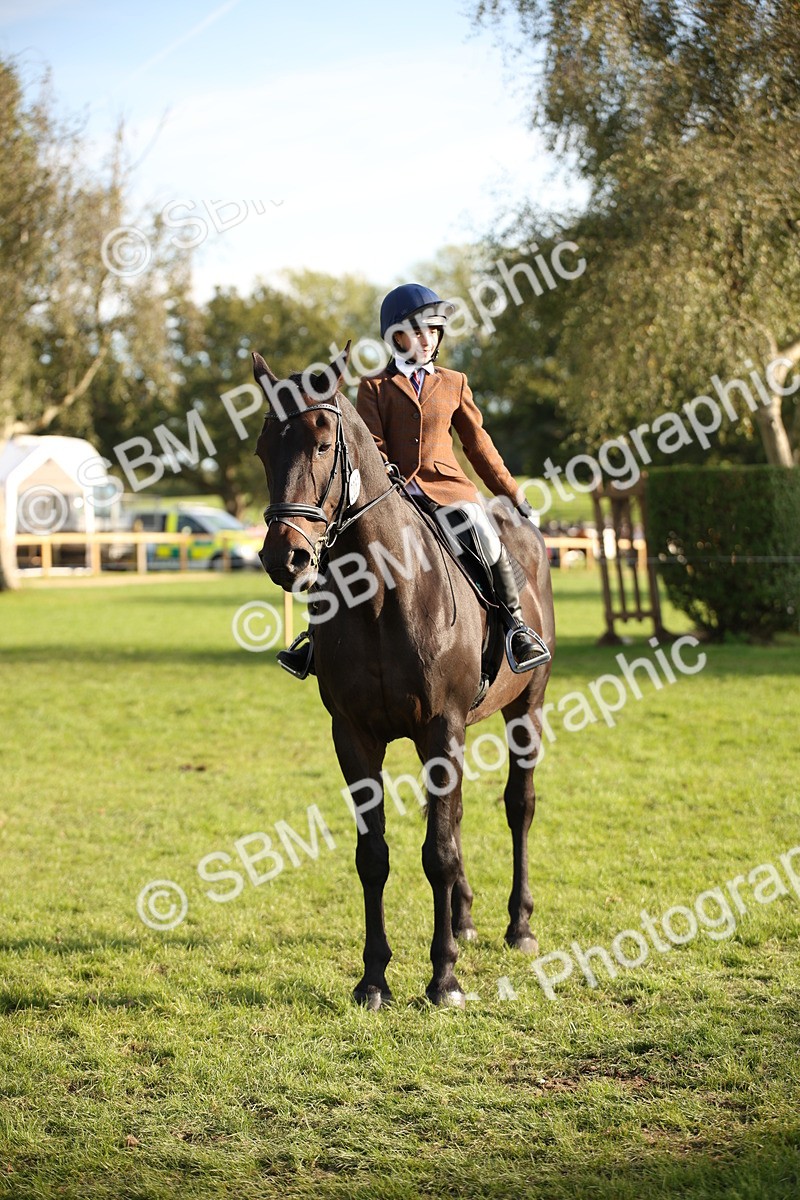 SBM_54308 - S27 - Mature Veteran - Ridden