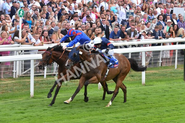 yr23072022r3-34 - Race 3 3.15pm Sky Bet York Stakes