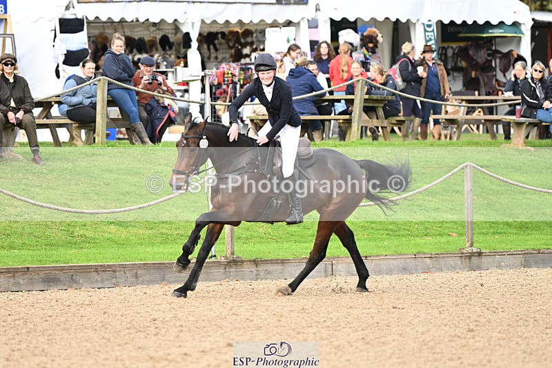 241025-121754-07523 - 205-Alderney.Street-KYTANO