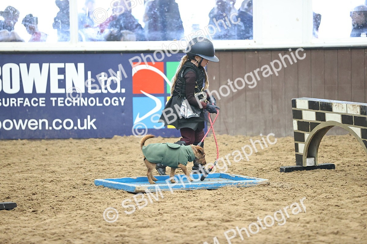 SBM_001542 - Class 3 - Horse & Hound 60cm
