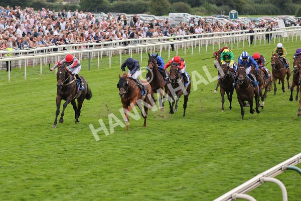 yr20082021r7-24 - Race 7 5.10pm Sky Bet Mile