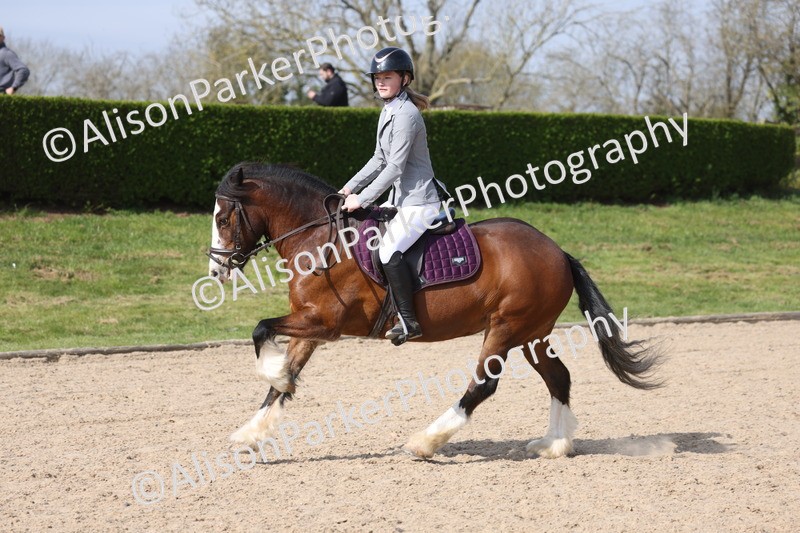 20260322-0813 - Class 3 - 80cm