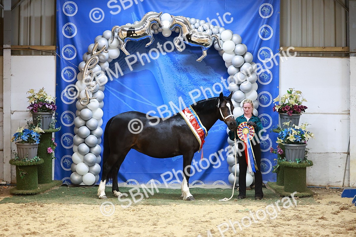SBM_20942 - Grand Sup Finals - IH & Ridden Champs