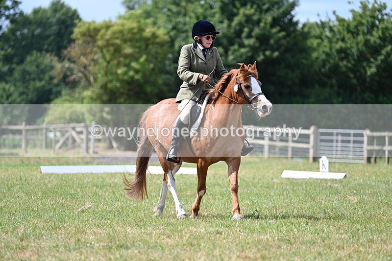 WJ7_3366 - Time 10:28 to 10:42