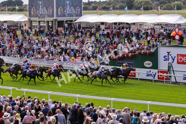 yr17082022r1-045 - Race 1 1.50pm Sky Bet & Symphony Group Stakes