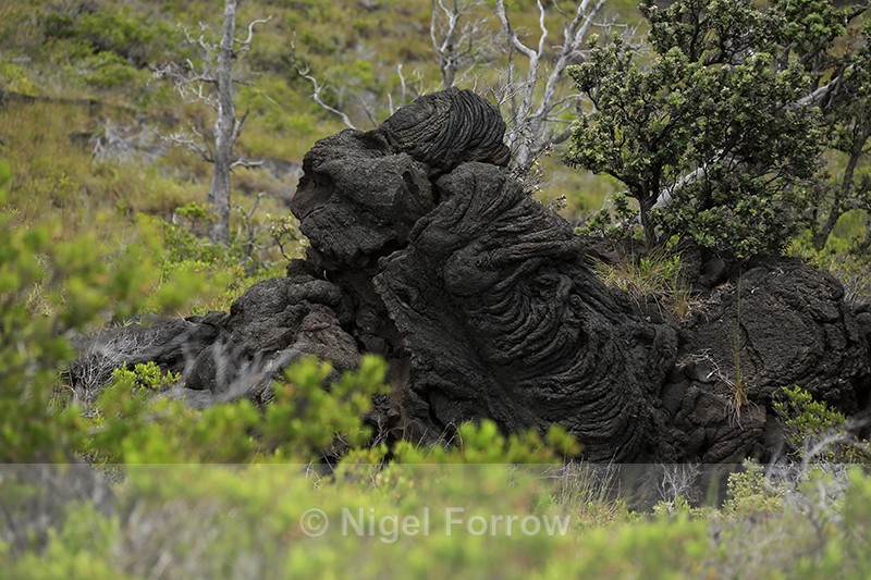 Lava mound, Kealakomo Overlook, Hawaii - Hawaiian Islands, USA