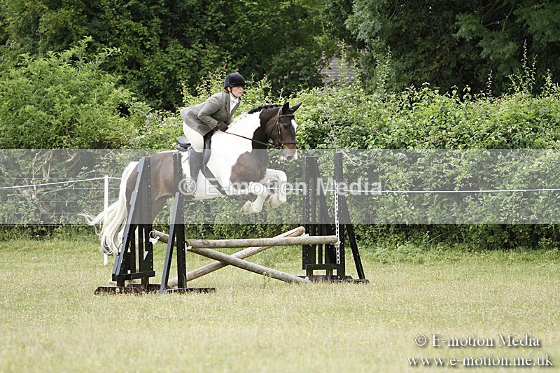 BVR160717-116 - Ring 3 BVRC Show 16/07/17