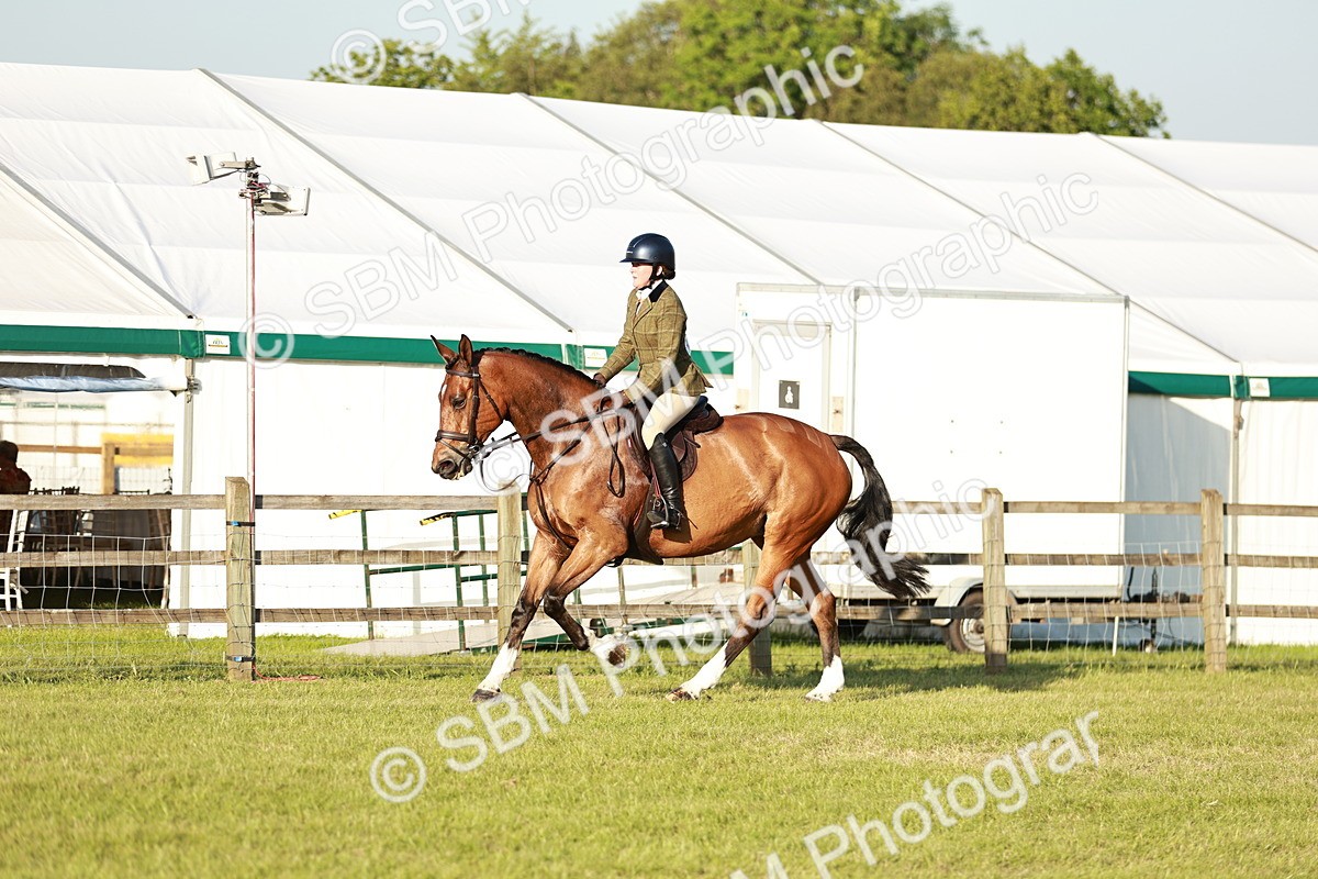 SBM_20476 - Class 117-119 - Sport Horse Working Hunter